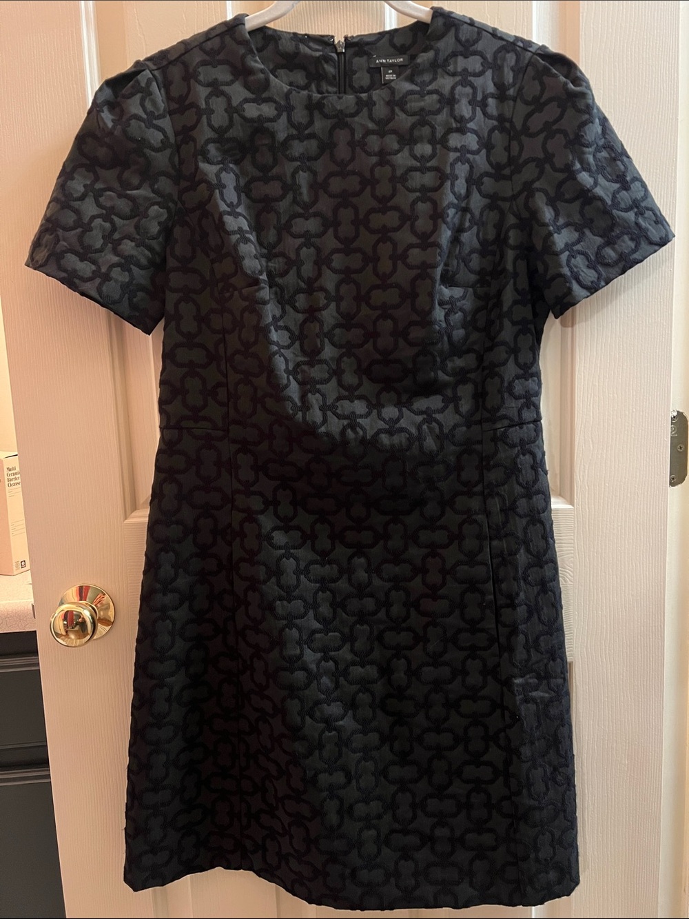 Embellished, Structured Fit and Flare Dress